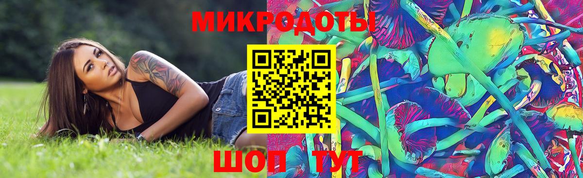Керчь  купить наркотик  Вход с VPN  Псилоцибиновые грибы Psilocybe 